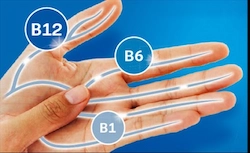 Vitamins B12, B6, and B1