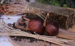 Whole Coffee Fruit Extract