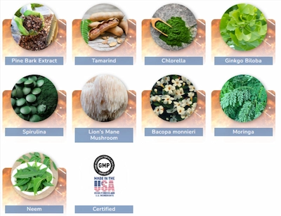 Pineal Pure Ingredients